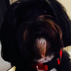 Meet your Posher, Rene